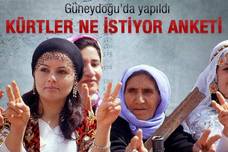 Güneydoğu'da yapılan Kürtler ne istiyor anketi