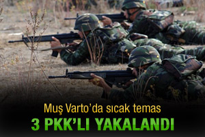 Varto'da çatışma: 3 PKK'lı yakalandı