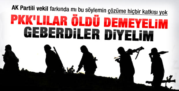 Öldürülen PKK'lılara gebertildi diyelim
