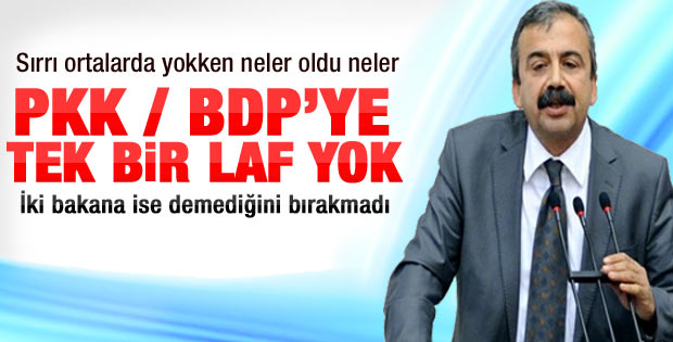 Sırrı Süreyya Önder: Arınç'ta akıl ne gezer