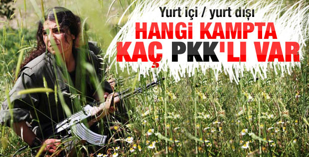 Yurt içi ve yurt dışındaki kamplardaki PKK'lı sayısı