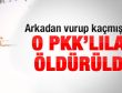 Van'da polisleri şehit eden PKK'lılar öldürüldü
