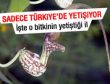 Türkiye'de tek ilde yetişen bitki