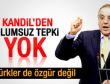 Sırrı Sakık: Kandil'den olumsuz tepki yok