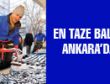 EN TAZE BALIK ANKARA’DA