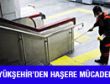 BÜYÜKŞEHİR’DEN HAŞERE MÜCADELESİ