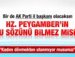 AK Parti İl Başkanı Demir: Kadınları hafifçe dövebilirsiniz