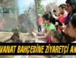 Hayvanat Bahçesine Ziyaretçi Akını