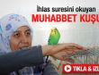 İhlas suresini okuyan muhabbet kuşu