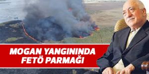 MOGAN yangınında FETÖ parmağı