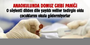 Anaokulunda domuz gribi paniği