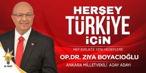 Ziya Boyacıoğlu reklam