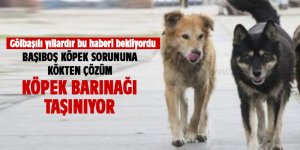 Köpek barınağı taşınacak