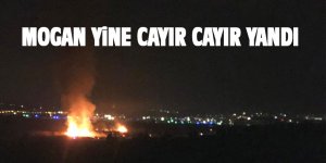 Mogan yine cayır cayır yandı