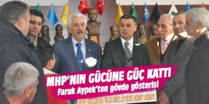 Faruk Aypek'ten Gövde Gösterisi