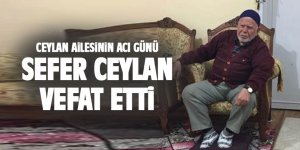 Ceylan ailesinin acı günü