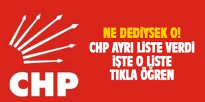 CHP tek liste gidiyor işte o liste