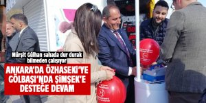 Mürşit Gülhan dur durak bilmeden çalışıyor