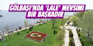 Gölbaşı'nda lale mevsimi