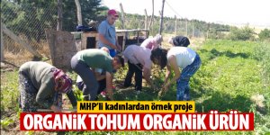 MHP'li kadınlardan örnek proje