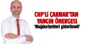 CHP'li Çakmak'tan yangın önergesi