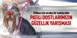 Gölbaşı'nda 150 köpek yarıştı