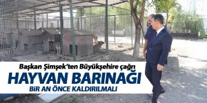 Başkan Şimşek: Hayvan barınağı bir an önce taşınmalı