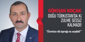 Gökhan Koçak’tan Katil Çin'e tepki