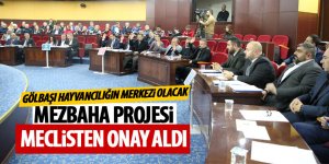 Mezbaha projesi meclisten onay aldı