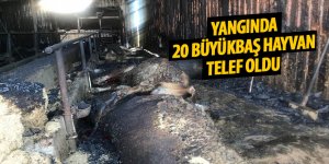 Ahırda çıkan yangında 20 büyükbaş hayvan telef oldu