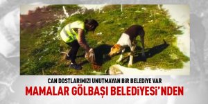 Can dostlarımız unutumadı