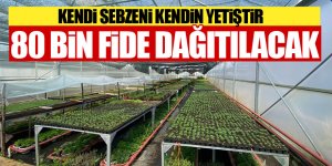 Gölbaşı Belediyesi'nden 80 bin sebze fidesi!