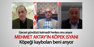 Mehmet Aktay'ın Köpek isyanı