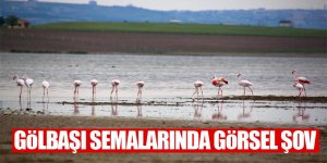 Flamingolardan Gölbaşı semalarında görsel şölen