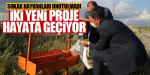 Gölbaşı Belediyesi sokak hayvanları için yeni projeleri hayata geçiriyor