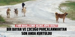 Parçalanmaktan son anda kurtuldu