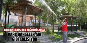 Haşereye karşı yoğun mücadele