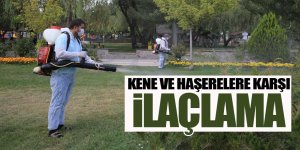 Kene ve haşerelere karşı ilaçlama