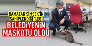 Leo, Gölbaşı Belediyesi’nin Maskotu Oldu