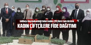 Kadın çiftçilere yerli tohum ve sebze fidesi dağıtıldı