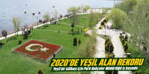 2020'de yeşil alan rekoru