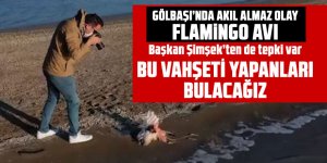 Gölbaşı'nda isyan ettiren görüntü: Flamingoyu avlamışlar