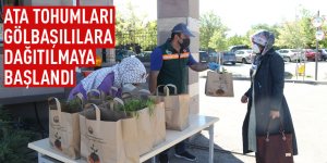 Gölbaşı Belediyesi Fide Dağıtımına Başladı