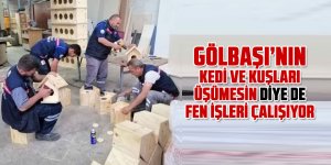 Gölbaşı'ndan kuşlara ve kedilere de yuva