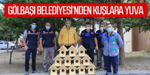 Gölbaşı belediyesi'nden kuşlara yuva