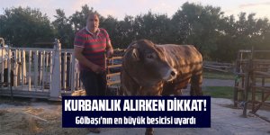 Kurbanlık alırken dikkat!