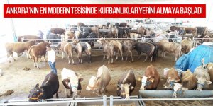 Gölbaşı Kurban Satış ve Kesim Yerinin Misafirleri Gelmeye Başladı