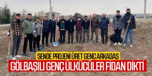 Gölbaşı Ülkü Ocaklarından fidan dikim etkinliği