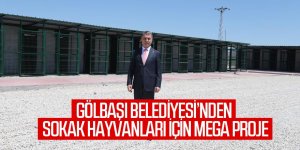 Gölbaşı Geçici Hayvan Barınağı ve Rehabilitasyon Merkezi Hizmete Açılıyor, Can Dostlar Evlerine Kavuşuyor…