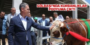 Gölbaşı'nda kurbanlıklar yarıştı